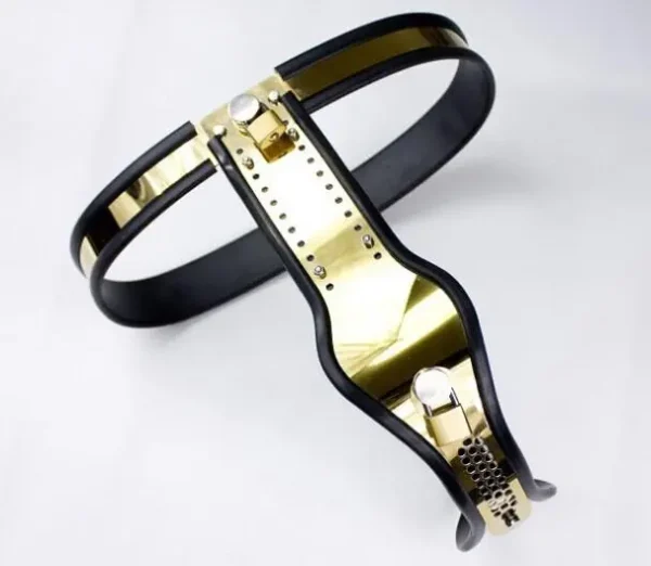 Steel Female Chastity Belt